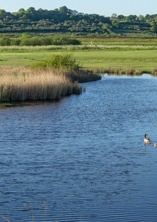 Castle Point Golf Club