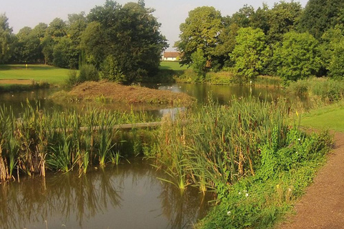 Chalgrave Manor Golf Club