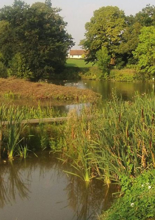 Chalgrave Manor Golf Club