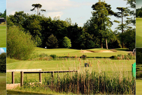 cobtree-manor-golf-club_3.jpg
