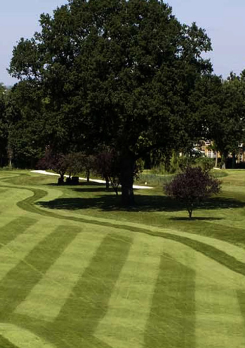 Dulwich & Sydenham Hill Golf Club