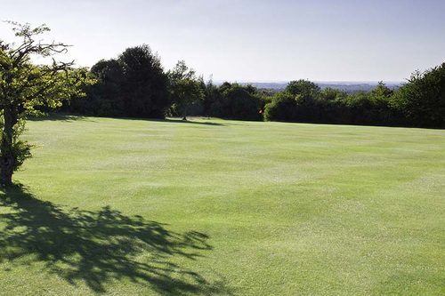 epsom-golf-club_6.jpg
