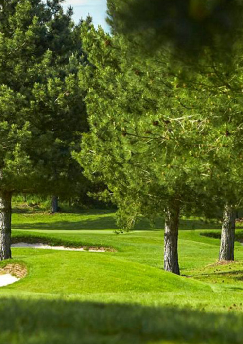 Essendon Country Club