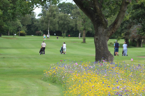 fulford-heath-golf-club_3.jpg