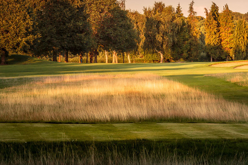 henley-golf-club_1.jpg