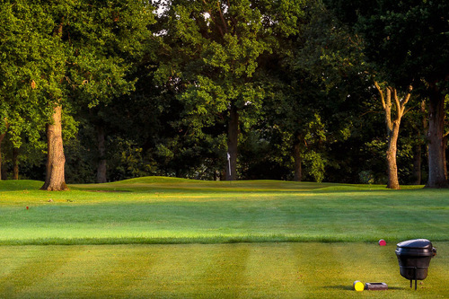 henley-golf-club_8.jpg