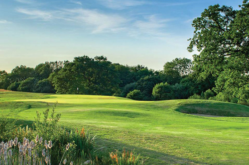 horsham-park-golf-club_5.jpg