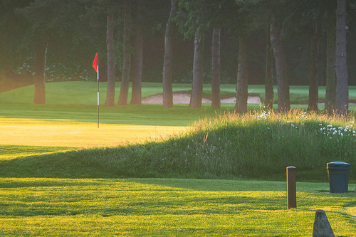 harrogate-golf-club_5.jpg