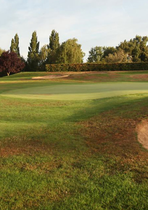 Haste Hill Golf Club