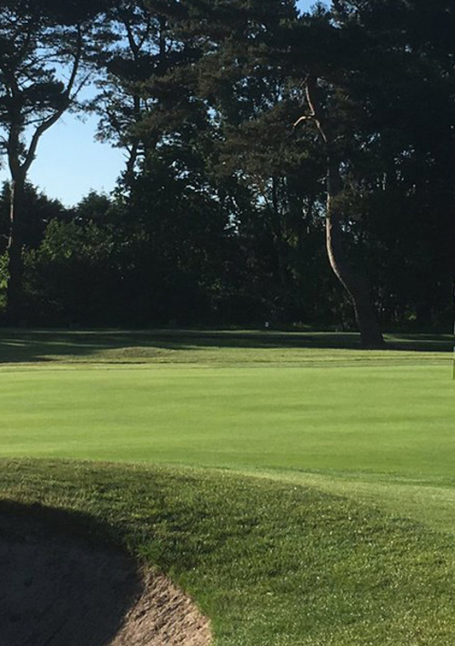 Knighton Heath Golf Club