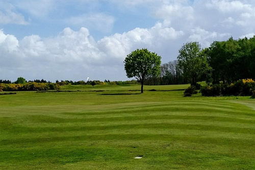 kings-hill-golf-club_4.jpg