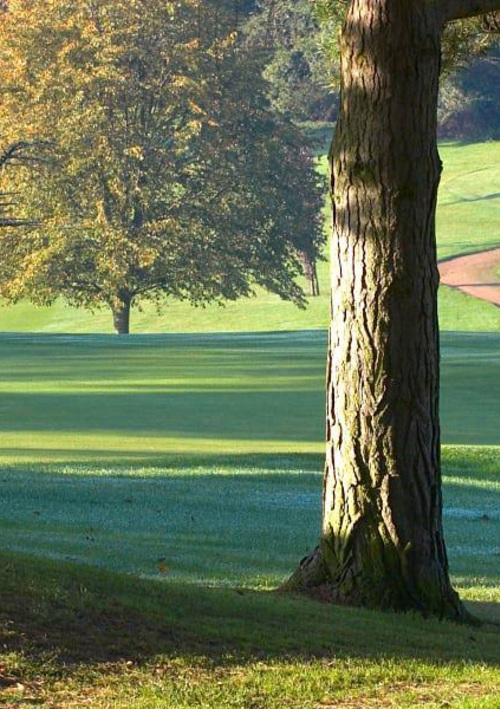 Letchworth Golf Club