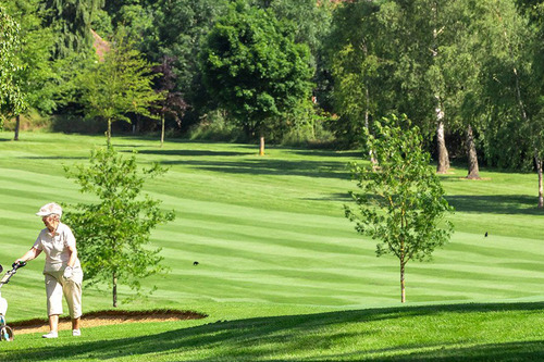 letchworth-golf-club_5.jpg