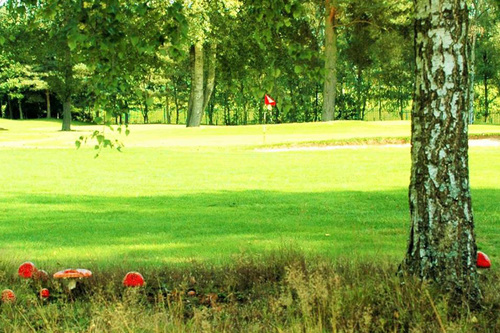 Leighton Buzzard Golf Club