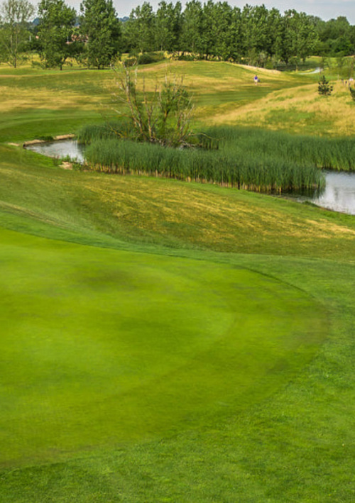 West London Golf Centre