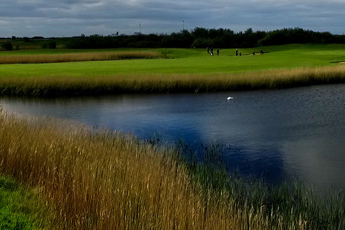 lydd-golf-club_3.jpg