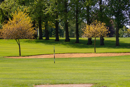lutterworth-golf-club_3.jpg