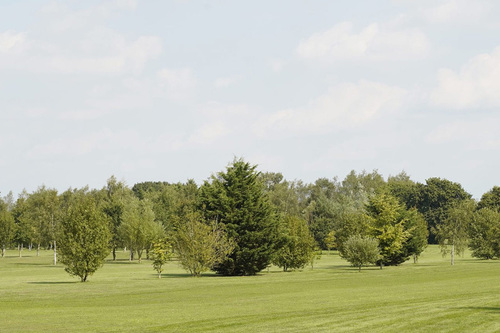 mattishall-golf-club_3.jpg