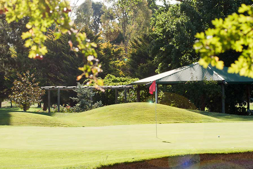 golfer-goulburn-golf-club-1.jpg