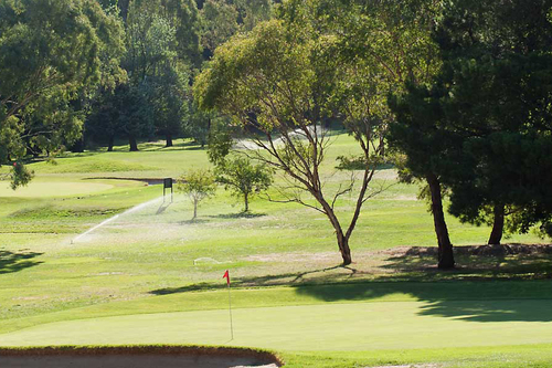 golfer-goulburn-golf-club-3.jpg
