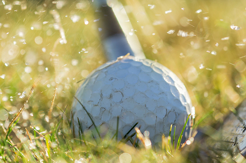 golfer-image-7.jpg