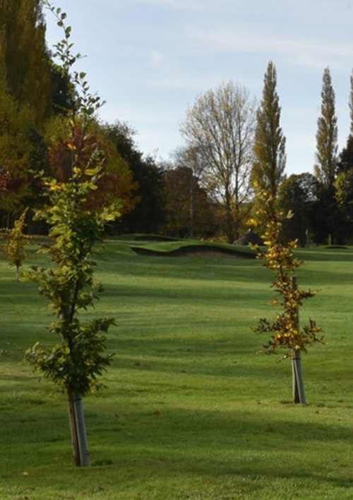 Market Harborough Golf Club