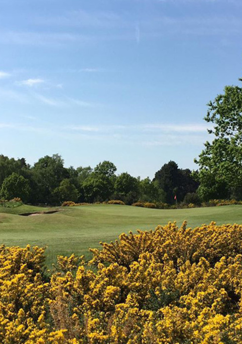 Market Rasen & District Golf Club