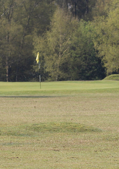 New Forest Golf Club