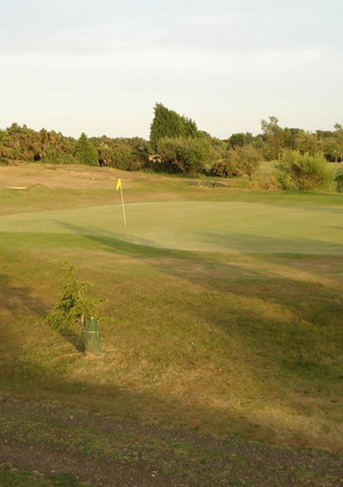 Newport Golf Club