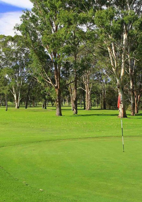Wyong Golf Club