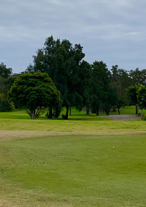 Hurstville Golf Course