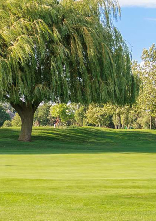 Rochford Hundred Golf Club