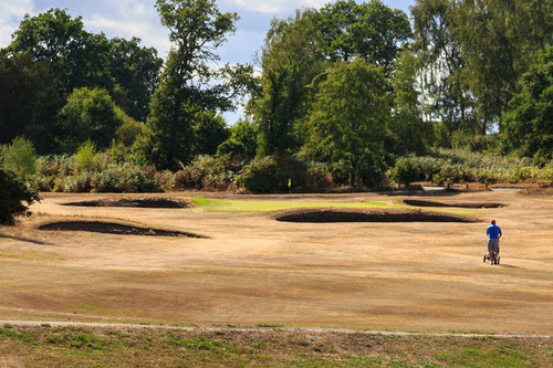 reigate-heath-golf-club_6.jpg