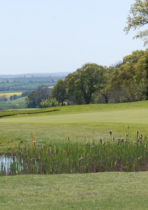 Rushmore Park Golf Club