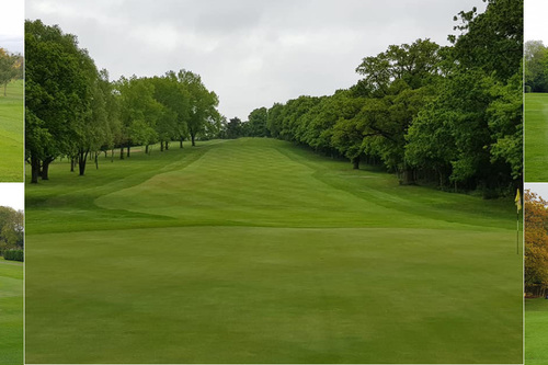 stanmore-golf-club_2.jpg