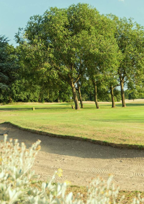 Stockwood Park Golf Club