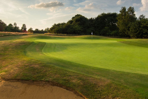 surrey-downs-golf-club_1.jpg