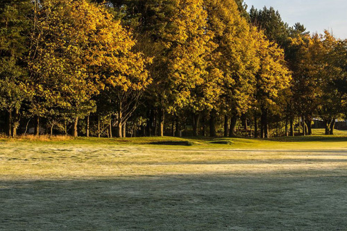 swaffham-golf-club_1.jpg