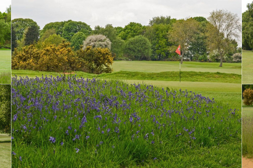 tadmarton-heath-golf-club_2.jpg