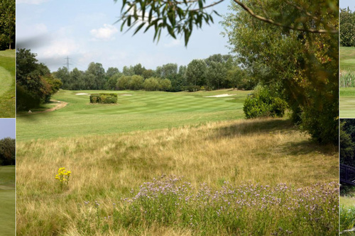 thorney-park-golf-club_2.jpg