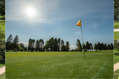 cricket-st-thomas-golf-club_1.jpg