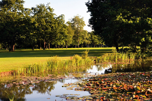 waterlooville-golf-club_5.jpg