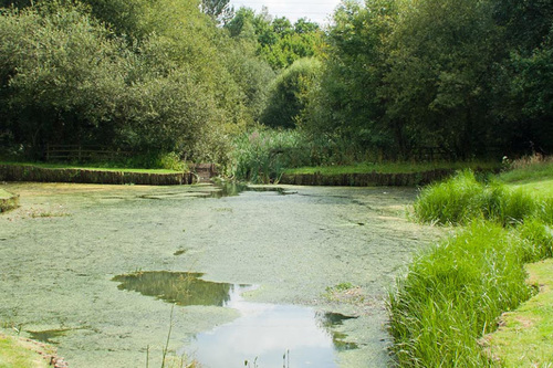 waterlooville-golf-club_2.jpg
