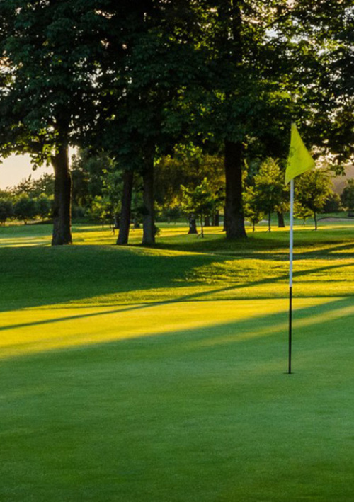 Badgemore Park Golf Club