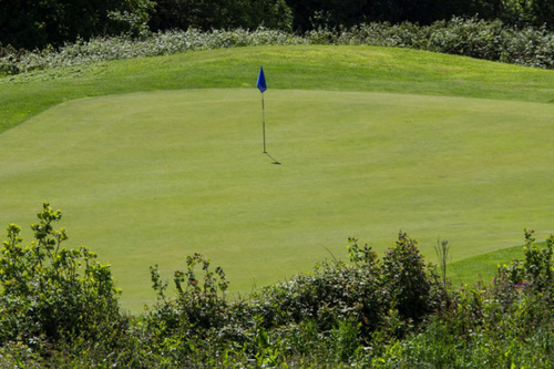 boringdon-park-golf-club_2.jpg