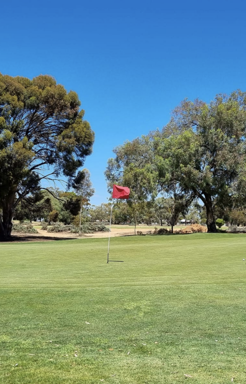Barmera Golf Club
