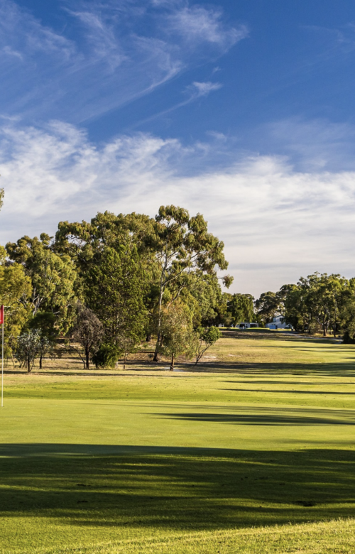 Barossa Valley Golf Club