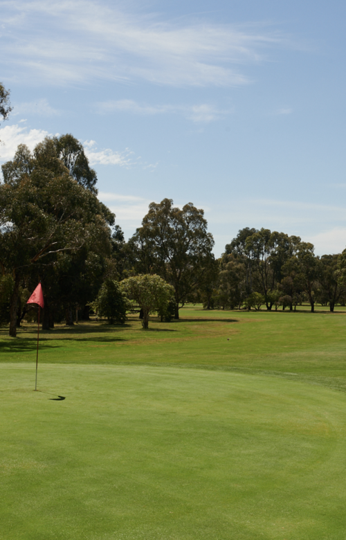 Bundoora Park Public Course