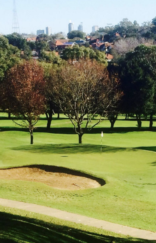 Cammeray Golf Club