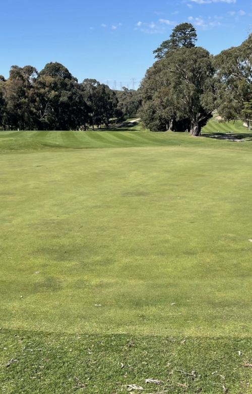 Churchill-Waverley Golf Club